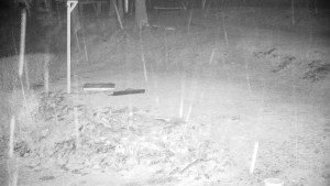 Chata Myslivna SKP Olomouc - Běžecký lyžařský areál Nová Ves - horní část - 31.3.2026 v 00:30 Chata Myslivna SKP Olomouc - Běžecký lyžařský areál Nová Ves - horní část - 31.3.2026 v 00:30