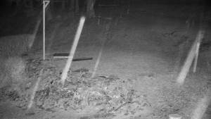 Chata Myslivna SKP Olomouc - Běžecký lyžařský areál Nová Ves - horní část - 31.3.2026 v 03:30 Chata Myslivna SKP Olomouc - Běžecký lyžařský areál Nová Ves - horní část - 31.3.2026 v 03:30