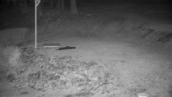 Chata Myslivna SKP Olomouc