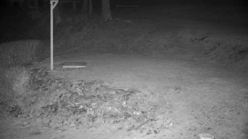 Chata Myslivna SKP Olomouc