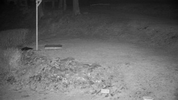 Chata Myslivna SKP Olomouc