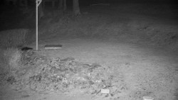 Běžecký lyžařský areál Nová Ves - horní část