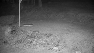 Chata Myslivna SKP Olomouc - Běžecký lyžařský areál Nová Ves - horní část - 8.4.2026 v 01:30 Chata Myslivna SKP Olomouc - Běžecký lyžařský areál Nová Ves - horní část - 8.4.2026 v 01:30