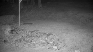 Chata Myslivna SKP Olomouc - Běžecký lyžařský areál Nová Ves - horní část - 8.4.2026 v 04:30 Chata Myslivna SKP Olomouc - Běžecký lyžařský areál Nová Ves - horní část - 8.4.2026 v 04:30