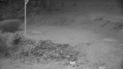 Běžecký lyžařský areál Nová Ves - horní část