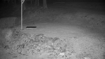 Chata Myslivna SKP Olomouc