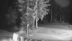Běžecký lyžařský areál Nová Ves - horní část