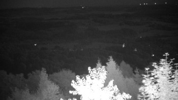 Snímek    14.7.2025 v 03:00