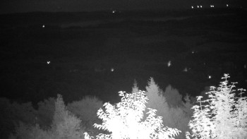 Snímek    13.9.2025 v 03:30