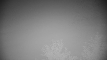 Snímek    13.9.2025 v 23:30