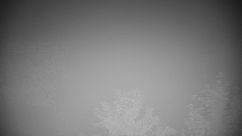 Snímek    14.9.2025 v 00:30