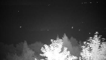 Snímek    14.9.2025 v 04:30