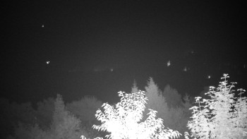 Snímek    14.9.2025 v 05:00