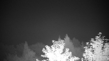 Snímek    15.9.2025 v 04:30
