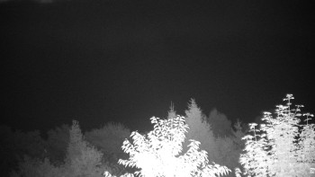 Snímek    15.9.2025 v 05:00