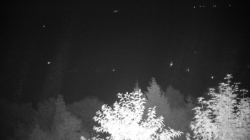 Snímek    15.9.2025 v 21:00