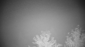 Snímek    15.9.2025 v 21:30