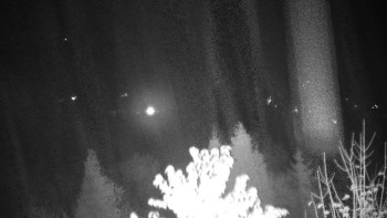 Snímek    28.10.2025 v 22:00