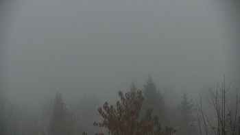 Snímek    3.11.2025 v 06:30