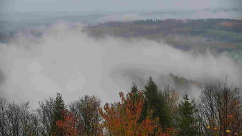 Snímek    3.11.2025 v 10:30