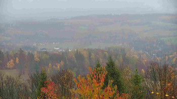 Snímek    3.11.2025 v 13:00