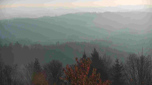 Chata Myslivna SKP Olomouc - Posezení - 6.11.2025 v 07:30 Chata Myslivna SKP Olomouc - Posezení - 6.11.2025 v 07:30