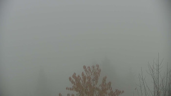 Snímek    9.11.2025 v 09:00