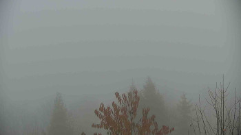 Snímek    9.11.2025 v 09:30