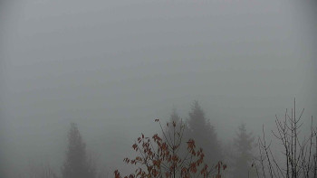 Snímek    14.11.2025 v 16:00