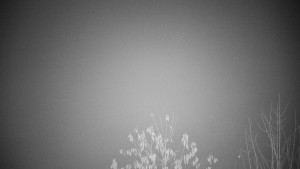 Chata Myslivna SKP Olomouc - Posezení - 15.11.2025 v 00:30 Chata Myslivna SKP Olomouc - Posezení - 15.11.2025 v 00:30