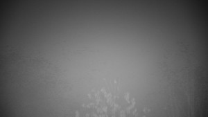 Chata Myslivna SKP Olomouc - Posezení - 15.11.2025 v 01:30 Chata Myslivna SKP Olomouc - Posezení - 15.11.2025 v 01:30