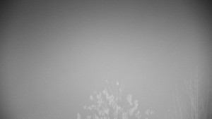 Chata Myslivna SKP Olomouc - Posezení - 15.11.2025 v 03:30 Chata Myslivna SKP Olomouc - Posezení - 15.11.2025 v 03:30