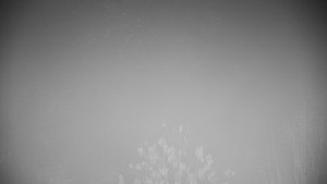 Chata Myslivna SKP Olomouc - Posezení - 15.11.2025 v 04:30 Chata Myslivna SKP Olomouc - Posezení - 15.11.2025 v 04:30