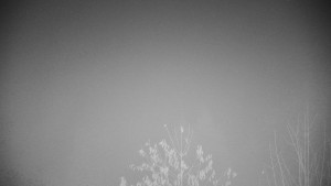 Chata Myslivna SKP Olomouc - Posezení - 15.11.2025 v 05:30 Chata Myslivna SKP Olomouc - Posezení - 15.11.2025 v 05:30