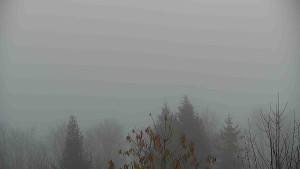 Chata Myslivna SKP Olomouc - Posezení - 15.11.2025 v 07:30 Chata Myslivna SKP Olomouc - Posezení - 15.11.2025 v 07:30