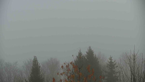 Chata Myslivna SKP Olomouc - Posezení - 15.11.2025 v 09:00 Chata Myslivna SKP Olomouc - Posezení - 15.11.2025 v 09:00