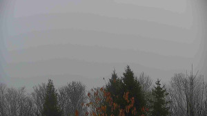 Chata Myslivna SKP Olomouc - Posezení - 15.11.2025 v 09:30 Chata Myslivna SKP Olomouc - Posezení - 15.11.2025 v 09:30