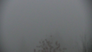 Chata Myslivna SKP Olomouc - Posezení - 15.11.2025 v 16:30 Chata Myslivna SKP Olomouc - Posezení - 15.11.2025 v 16:30