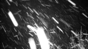 Chata Myslivna SKP Olomouc