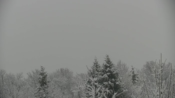 Chata Myslivna SKP Olomouc