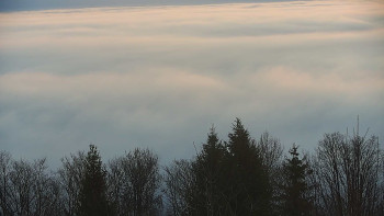 Chata Myslivna SKP Olomouc