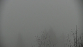 Chata Myslivna SKP Olomouc