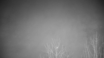 Chata Myslivna SKP Olomouc