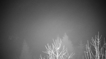 Chata Myslivna SKP Olomouc