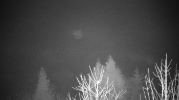 Chata Myslivna SKP Olomouc