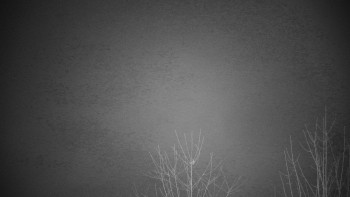 Chata Myslivna SKP Olomouc