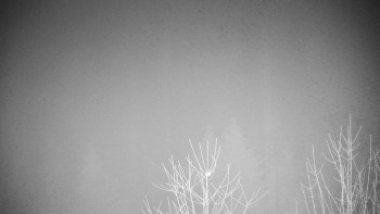 Chata Myslivna SKP Olomouc