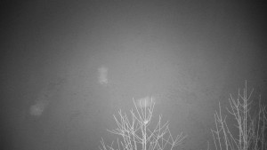 Chata Myslivna SKP Olomouc - Posezení - 16.12.2025 v 04:30 Chata Myslivna SKP Olomouc - Posezení - 16.12.2025 v 04:30