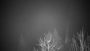 Chata Myslivna SKP Olomouc - Posezení - 16.12.2025 v 05:30 Chata Myslivna SKP Olomouc - Posezení - 16.12.2025 v 05:30