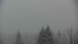 Chata Myslivna SKP Olomouc - Posezení - 16.12.2025 v 07:30 Chata Myslivna SKP Olomouc - Posezení - 16.12.2025 v 07:30